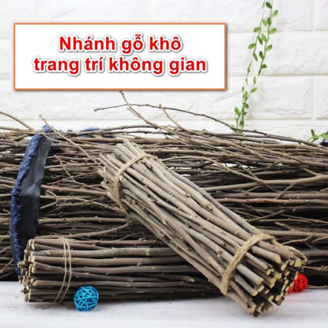 Cây Khô Trang Trí Handmade Set 10 Khúc