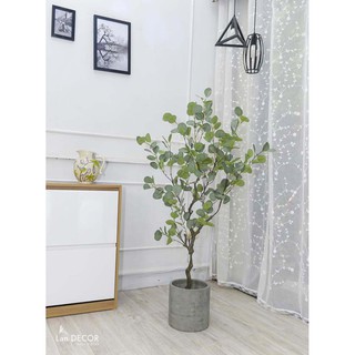 Cây bạch đàn trang trí cao 130cm - LC3050
