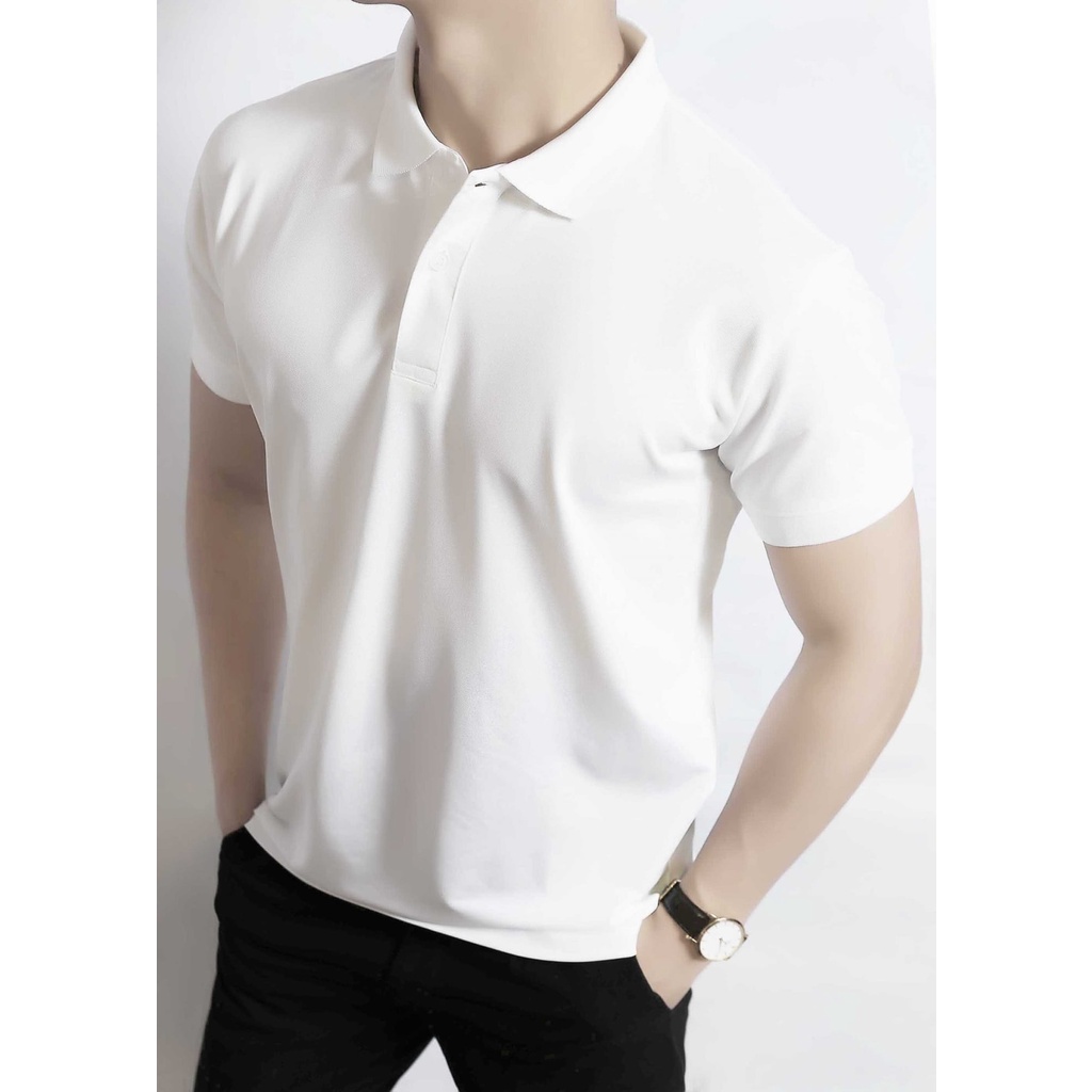 Áo polo nam POLY mềm mịn thoáng mát, Áo polo nam Hà Đinh, HD-POLO-03