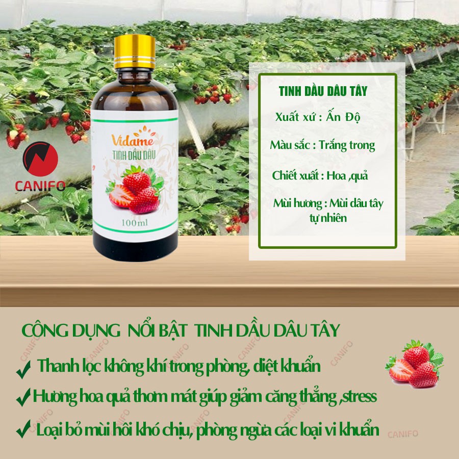 Tinh dầu dâu tây nguyên chất 100ml Canifo - tinh dầu thiên nhiên, khử mùi dùng cho máy xông tinh dầu, đèn xông tinh dầu