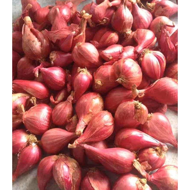 HÀNH TÍM LÝ SƠN QUẢNG NGÃI