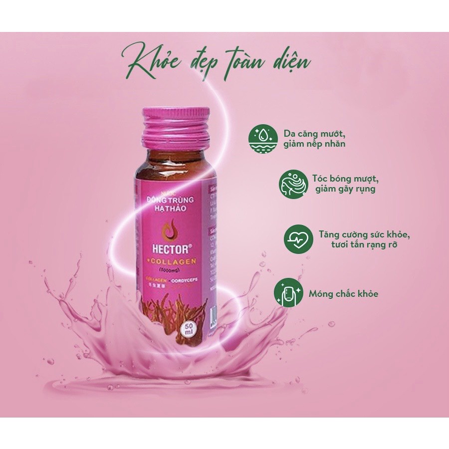 HỘP 10 CHAI - HECTOR COLAGEN ĐÔNG TRÙNG HẠ THẢO