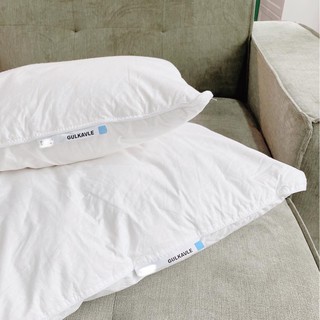 Các loại ruột gối