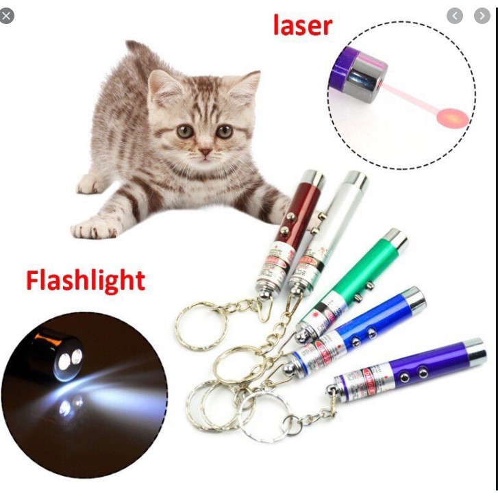 đồ chơi cho mèo đèn tia laser led