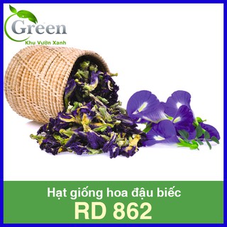 Hạt Giống Hoa Đậu Biếc (2G)