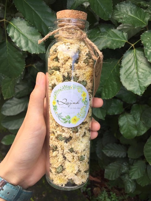 Combo bộ trà thuỷ tinh chịu nhiệt - Bạch cúc - Hoa Nhài | BigBuy360 - bigbuy360.vn