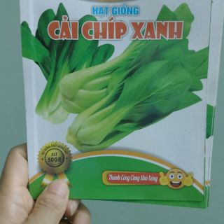 Hạt giống cải chíp xanh -  Rau củ quả trồng tại vườn, sân thượng, nông trang, ban công