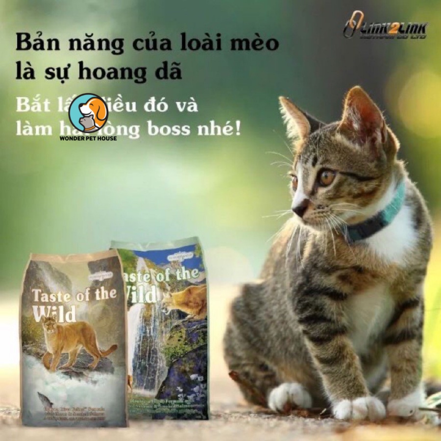 Hạt khô cho mèo mọi lứa tuổi Taste Of The Wild Rocky Mountain 500g vị cá hồi, nai nướng thơm ngon