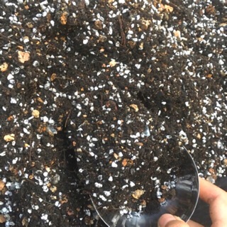 Hỗn hợp đất đất trộn - trồng sen đá - xương trồng giàu dinh dưỡng