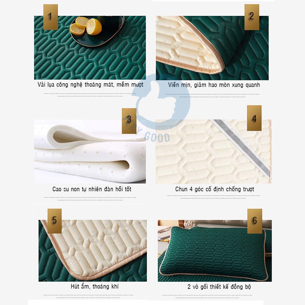 Chiếu điều hòa cao su non, Chiếu tencel latex thái lan nhập khẩu cao cấp kích thước 1m6, 1m8, 2m2