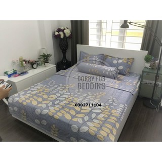 Bộ ga gối cotton nhiều mẫu