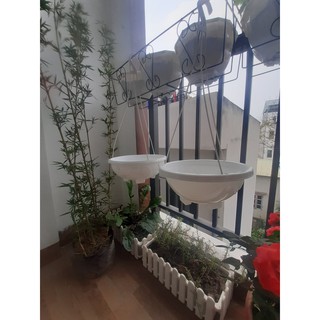 CHẬU CHẢO NHỰA(GỒM CẢ CHẬU VÀ DÂY)