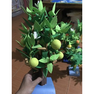 cây xanh đồ dùng mầm non