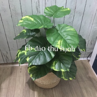 Cây giả decor- không gian xanh trong nhà