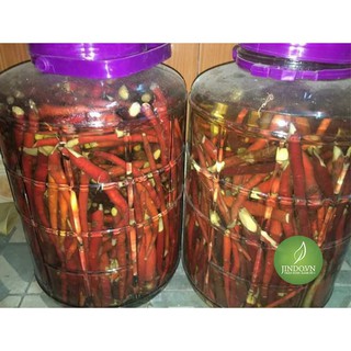 Sâm cau đỏ (1kg tươi) - VTT036