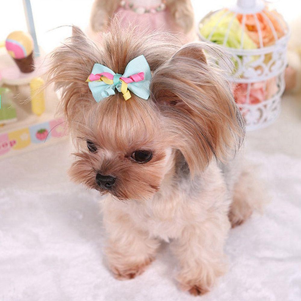 GIOVANNI Kẹp Nơ Nhiều Màu Hóa Trang Cho Thú Cưng