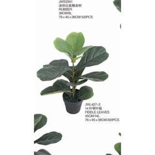 cây bàng singapo giả cảnh 50cm