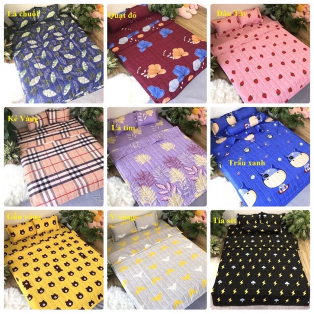 Bộ ga gối poly cotton m6/m8 ( được chọn mẫu)