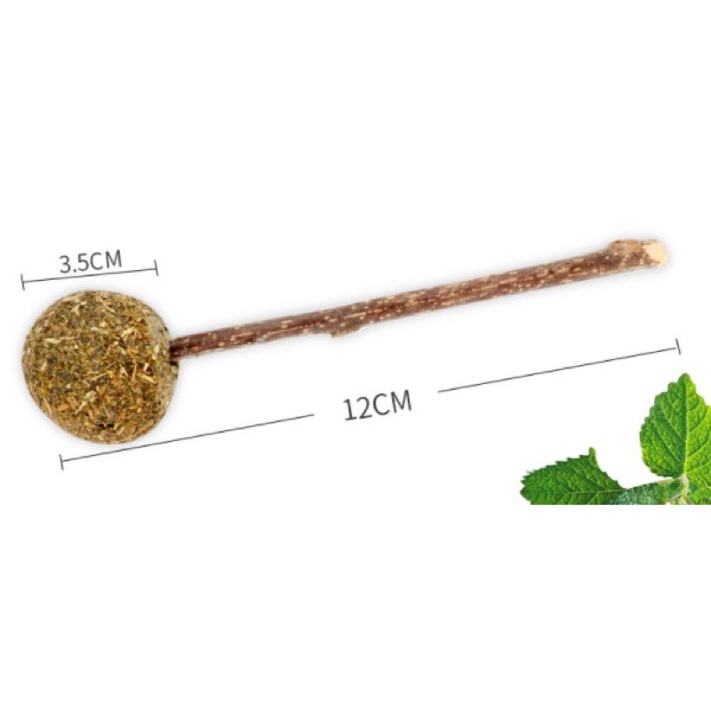 Cỏ Mèo, Catnip, Cỏ Bạc Hà, Kẹo Mút Cỏ Mèo Pet Snack