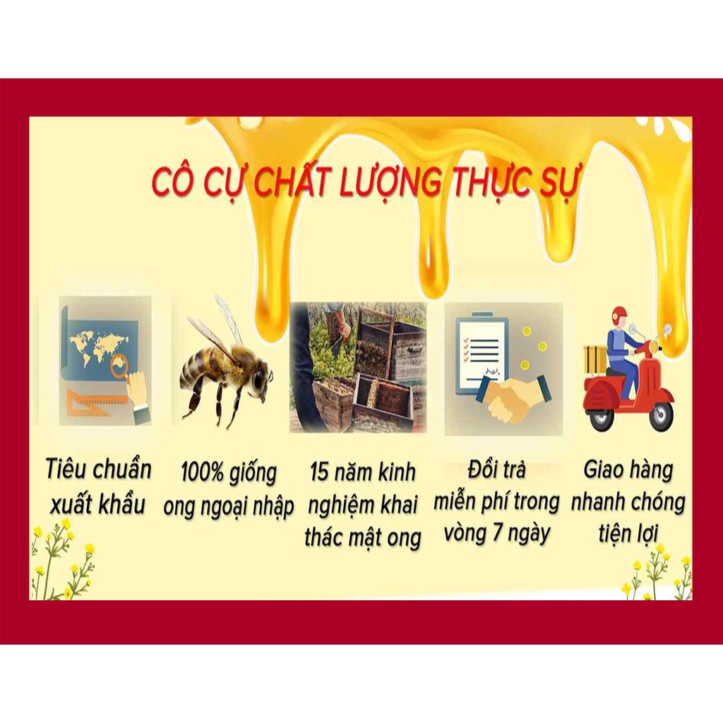 Mật Ong Loại Hoa Cà Phê Cô Cự 1000ml ( bộ 2 chai 500ml)