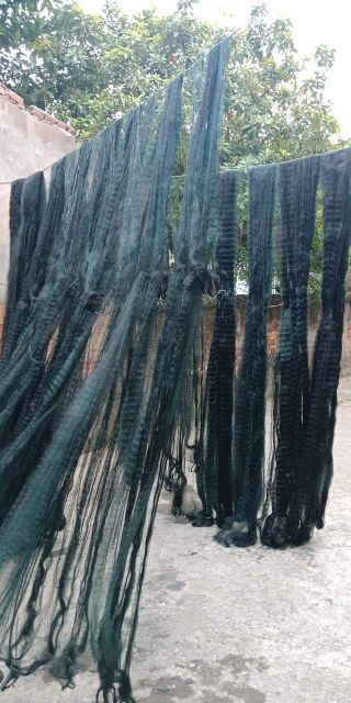 Rẻ  vô địch  - chất lượng  hoàn mỹ  -Lưới bẫy chim 7 pH 50m cu cò cuốc 7phan cao 5m dài 50m siêu nhậy