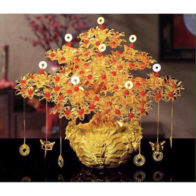 cây kim tiền hút tài lộc may mắn vào nhà 25cm | BigBuy360 - bigbuy360.vn