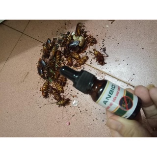 [FREESHIP 50K] Anbio diệt kiến sinh học