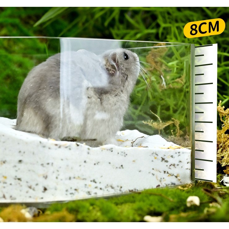 khay tròn và ngũ giác đa năng cho hamster