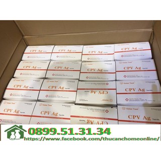 Que test bệnh parvo trên chó