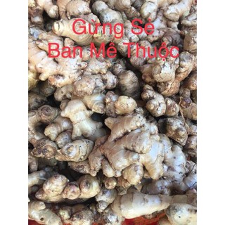 mức gừng viên Song Liên