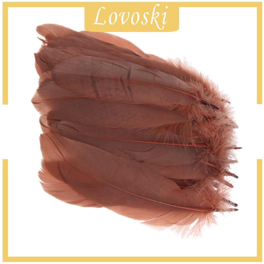 Set 50 Lông Ngỗng Tự Nhiên 5.9 Đến 8.6 Inch Làm Đồ Thủ Công