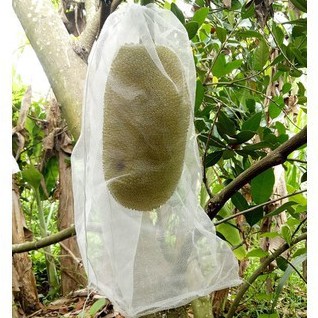 Túi Cước Bao Trái Mít - Túi Bao Mít 50x70cm