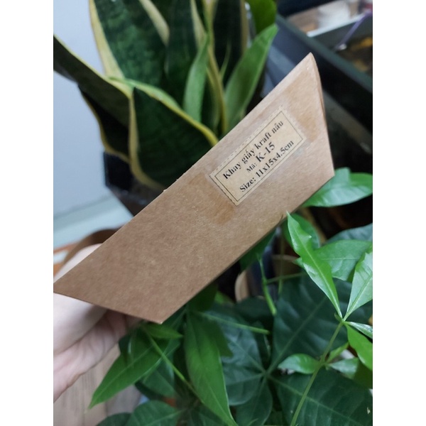 100 khay đựng thức ăn