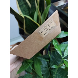 100 khay đựng thức ăn