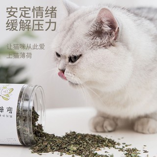 Kẹo Cỏ Mèo