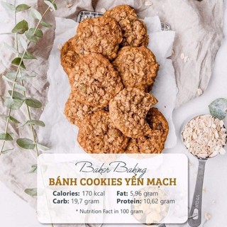 Bánh Cookies yến mạch chocochip (500gr)