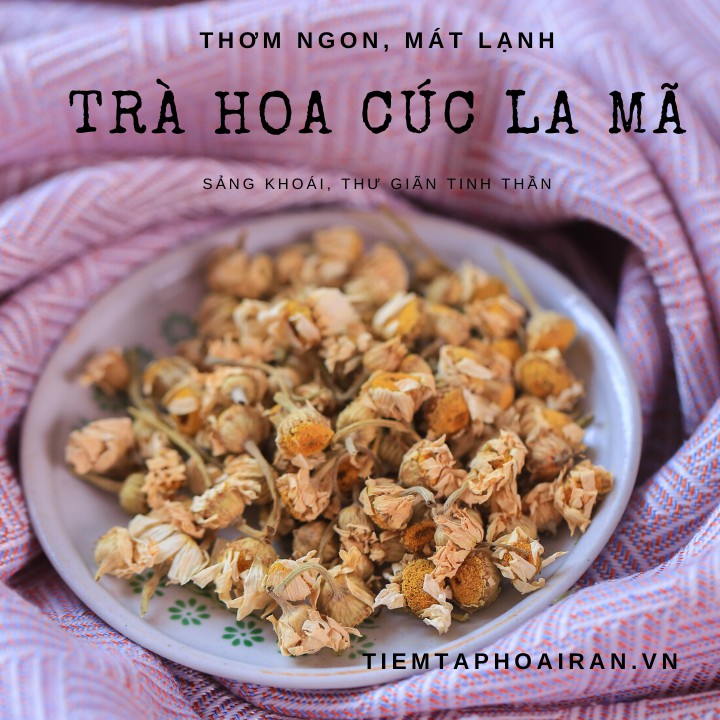 Trà hoa cúc la  mã Iran