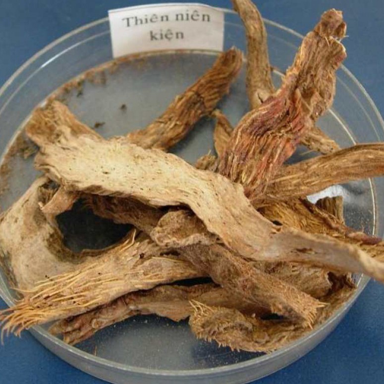 Thiên niên kiện hay còn gọi là sơn thục khô thượng hạng JINDO 1kg