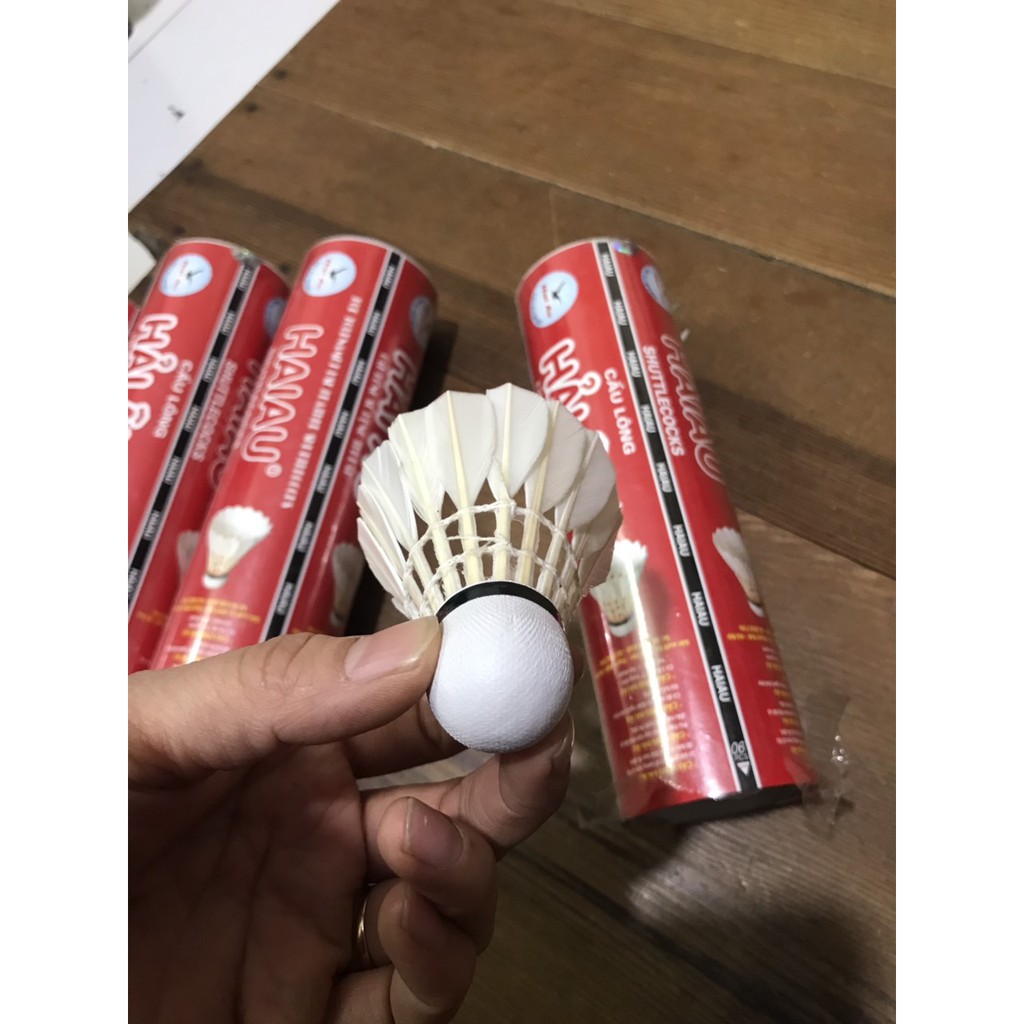 [CHÍNH HÃNG] Hộp cầu lông Hải Âu_chính hãng loại hộp 6 quả và loại 12 quả