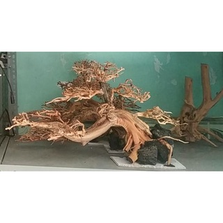 Lũa Bonsai Thủy Sinh nhiều size (lũa ghép)