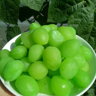 Combo 2kg Đào giòn chuẩn vị Đà Lạt