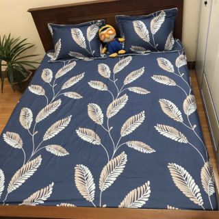 Bộ ga, gối cotton 2m2