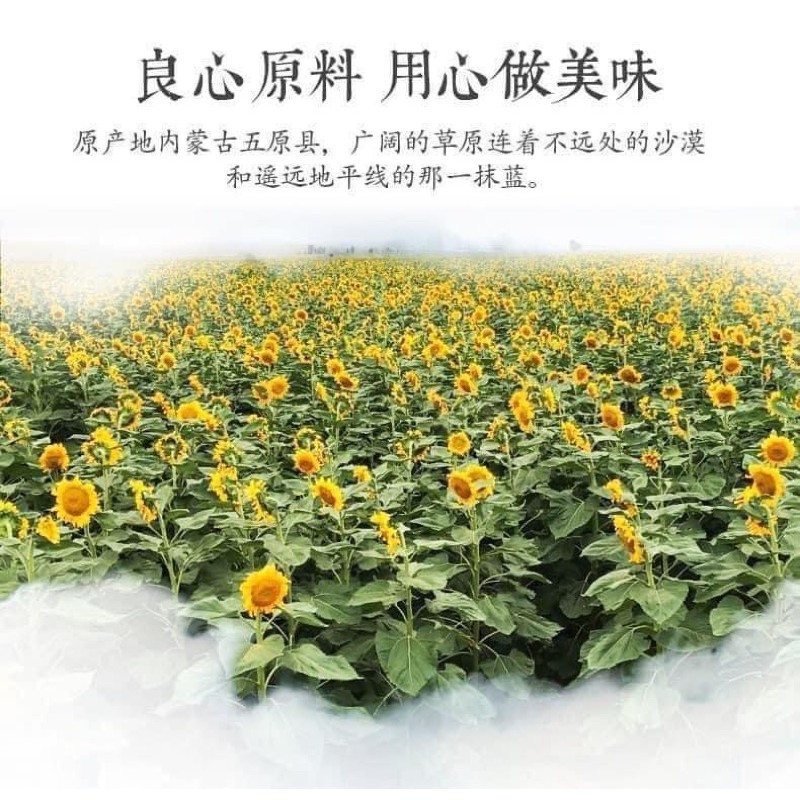 Hướng dương tẩm vị