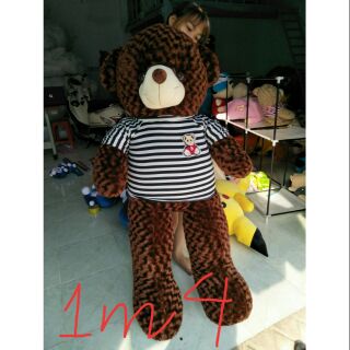 Gấu Bông size 40cm đến 1m8