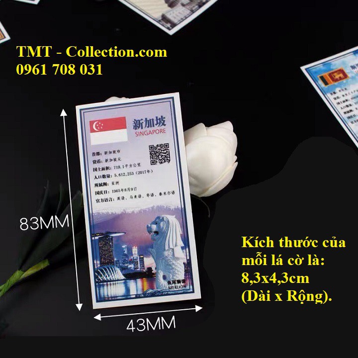 Bộ cờ 150 nước gắn vào phơi; Dùng để chú thích thêm cho bộ sưu tập tem, bộ sưu tập tiền -TMT Collection-SP001797