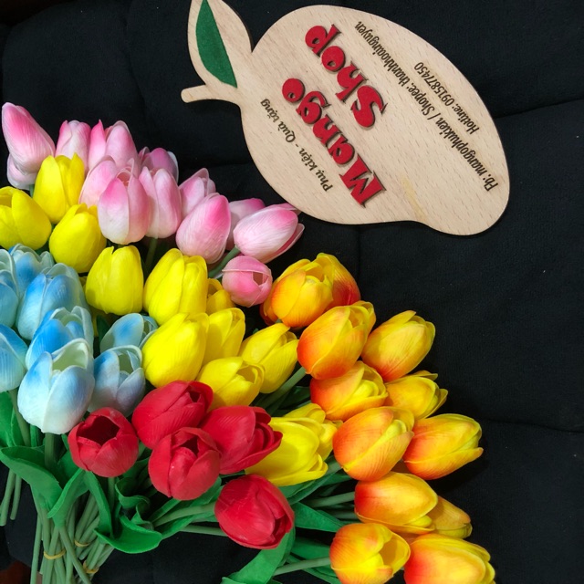 Hoa tuylip phụ kiện chụp ảnh