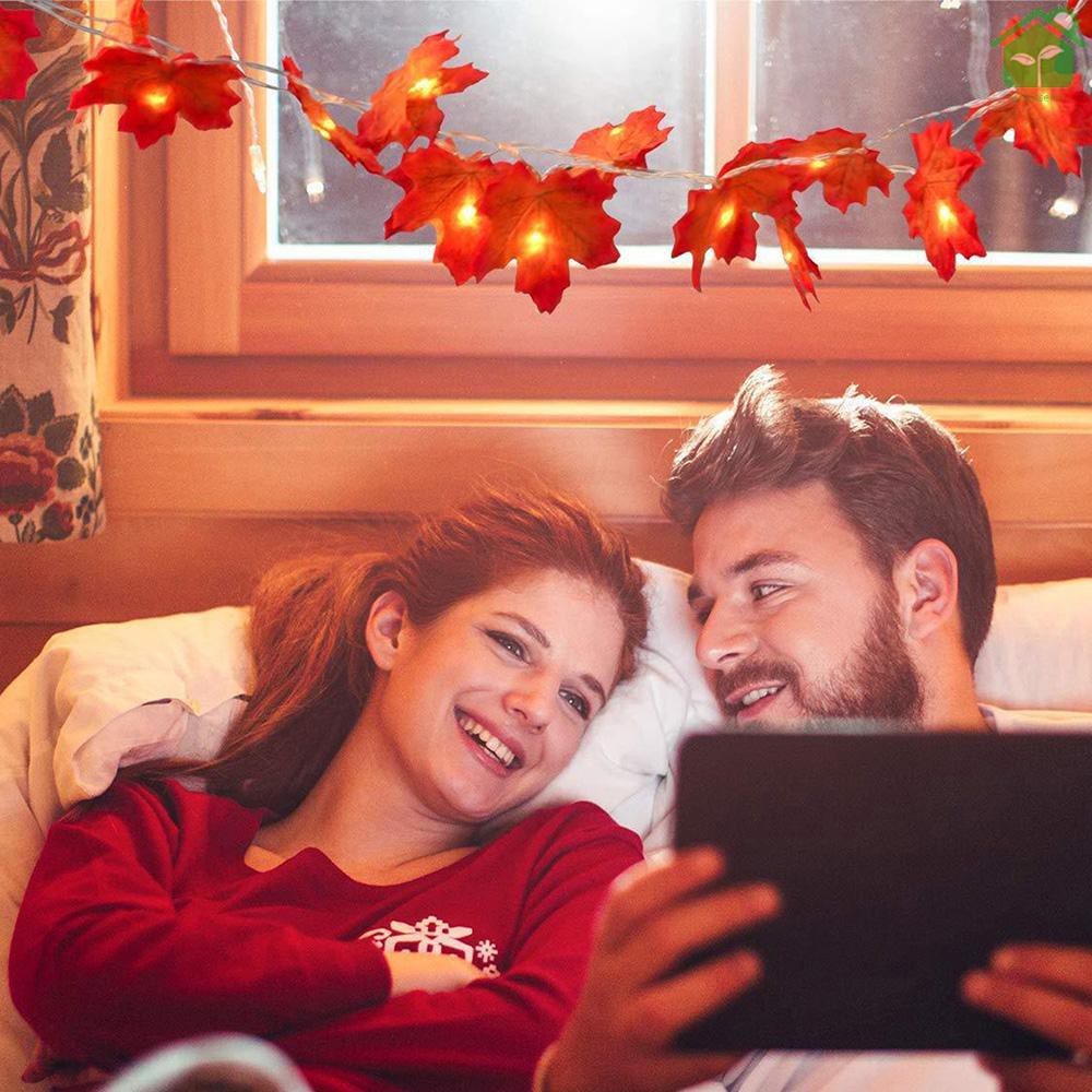 Dây Đèn Led Hình Lá Phong Trang Trí Tiệc Cưới / Sinh Nhật