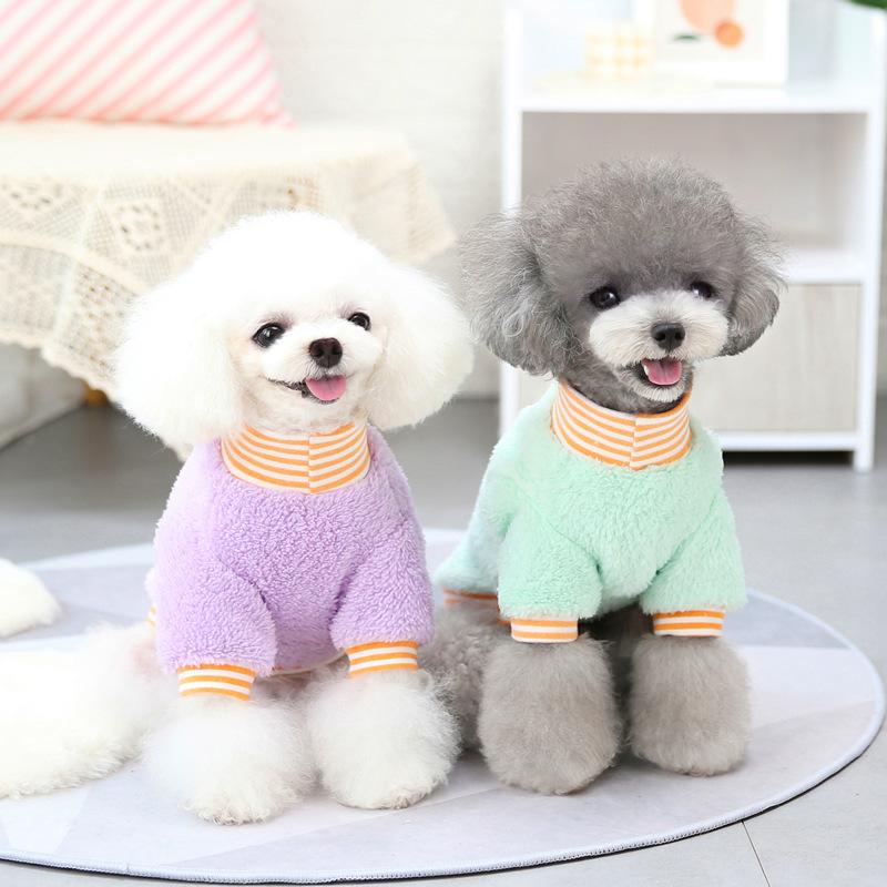 Quần áo chó mèo thú cưng: Áo nỉ lông họa tiết thỏ carot