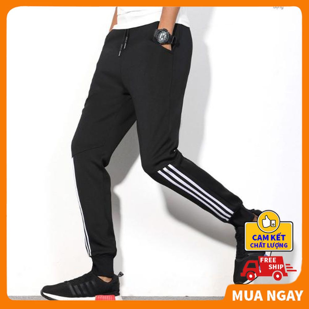 (Video, chất đẹp) Quần jogger nam sọc bo gấu cực ấm, sz 40-75kg, 2 màu BIBINO | WebRaoVat - webraovat.net.vn