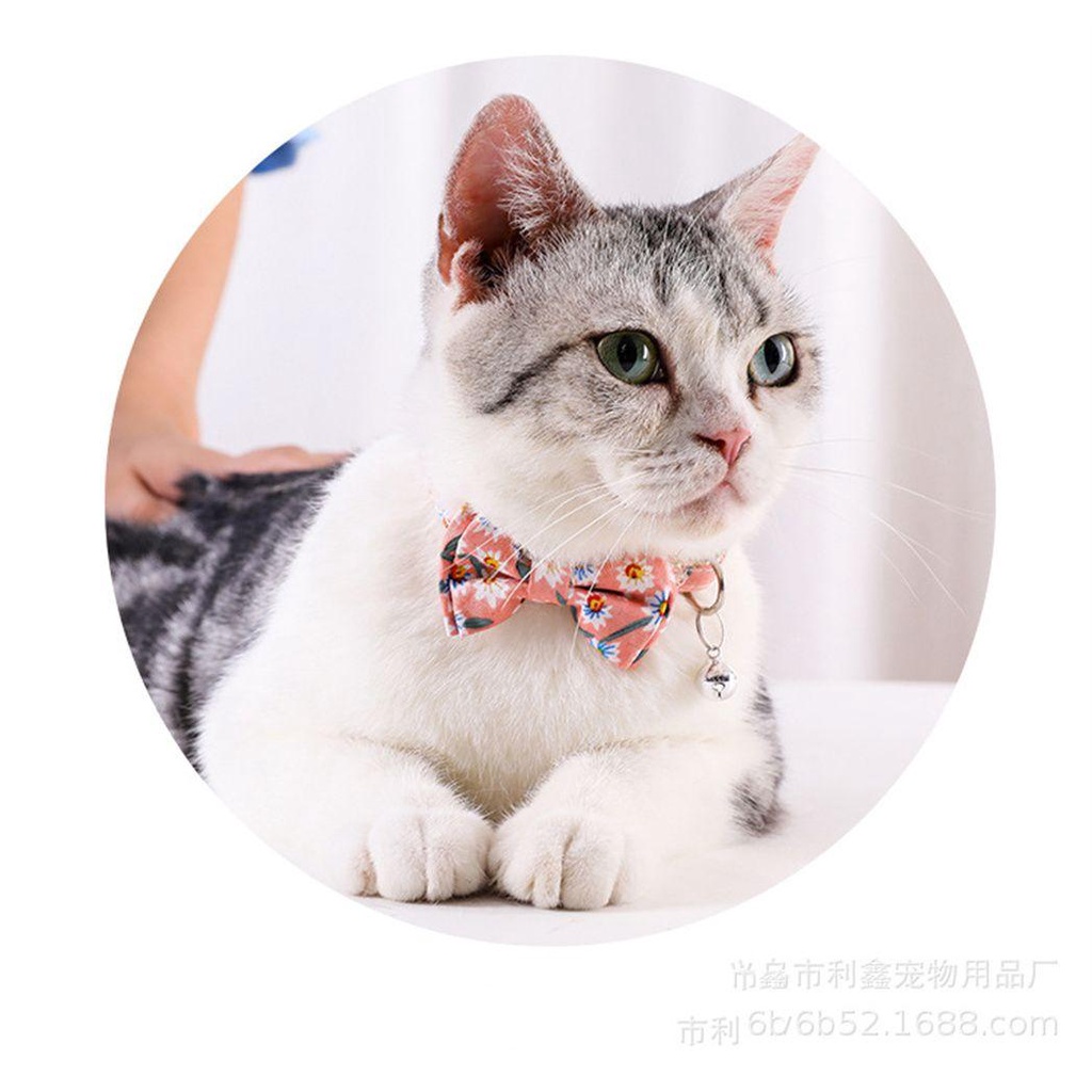 FAY Vòng Cổ Dễ Thương Đi DạO, Không ĐộC HạI Cho Thú Cưng